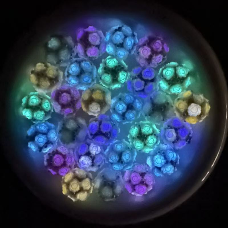 Firefly™ Glow-in-the-Dark FlowerBall Lucky Bag DIY -TikTok LiveUnboxing-Lulu-shop